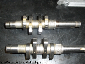 Nokkenassen